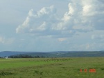 DSC00089.JPG